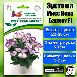 Эустома карликовая бело-фиолетовая с каймой Мисс Нора Барлоу - Партнер фото 2