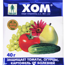 ТЭ Хом 40 гр 01-027ХОМ