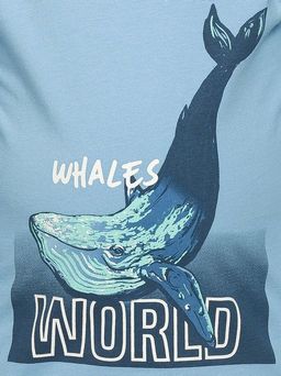 Уценка PELICAN NFAJP3223 комплект для мальчиков