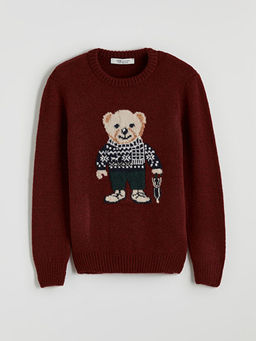 Bisiklet Yaka Ay? Teddy Desenli Erkek ?ocuk Triko Kazak