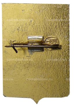 Значок Арзамас