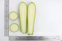 Кабачок Хьюго - Партнер фото 5