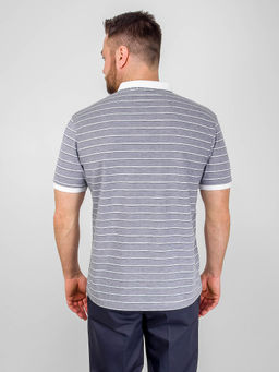 Джемпер мужской с воротником поло короткий рукав GREG G144-ZH-2 (серый м.)  фото 5