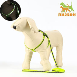 Комплект светоотражающий Косточки, ошейник 120 х 1 см, ОШ 26-42 см, ОГ 26-42 см, зелёный