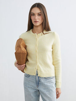 Bisiklet Yaka Y?n Kar???ml? Kad?n Triko H?rka