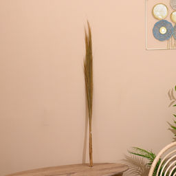 Сухоцвет натуральный, набор, 120 см