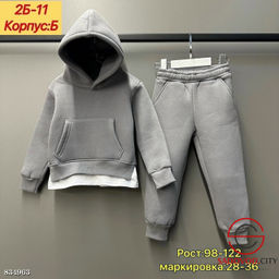 Костюм спортивный с начесом