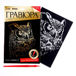 Набор гравюр Сова и бабочки - Школа талантов фото 3