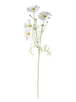 Цветы искусственные "Анемона Аврелия" d-9 см 60 см, белый