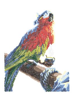 Кристальная (алмазная) мозаика ФРЕЯ ALPD-038 на подрамнике Попугай Флинта 30 х 40 см