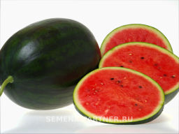 Арбуз Акмаль - Партнер фото 2