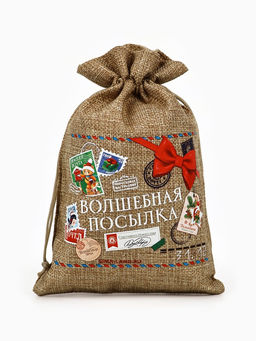 Цена за 5 шт. Мешок с термонаклейкой Новогодняя посылка, 16 х 24 см
