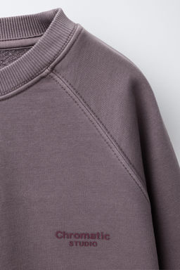 SUDADERA EFECTO LAVADO TEXTO / Ciruela - Zara фото 5