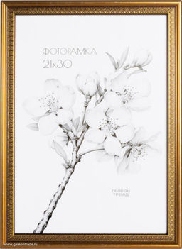 Фоторамка 21x30 / KS2015-1 /уп10
