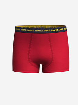 Bask?l? Erkek ?ocuk Boxer 3l? - Waikiki фото 2