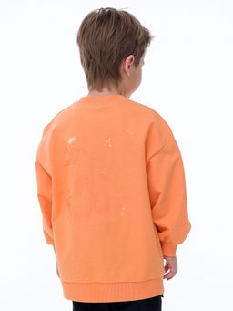 BFN3320 толстовка для мальчиков - Pelican фото 6