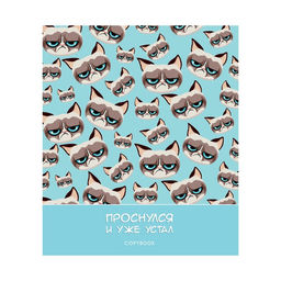 Тетрадь 48 листов в клетку Calligrata Котик Мем, обложка мелованный картон, глянцевая ламинация, выборочный твин-лак, блок офсет МИКС  фото 4