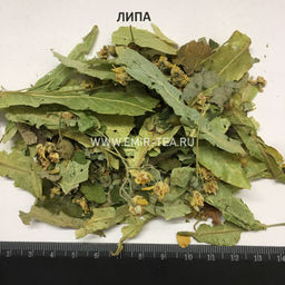 Липа (код 0171)