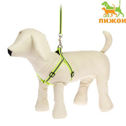 Комплект со светоотражающей лентой, ошейник 120 х 1 см, ОГ 26-40 см, зеленый