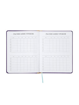Дневник школьный 1-11 класс, лассе, обложка искуственная кожа, с резинкой для ручки