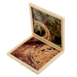 Набор для опытов Диномир: Трицератопс, строение тела динозавра, 33 детали - Эврики фото 16