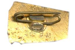 Значок Алма-Ата