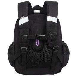 RAz-586-7 Рюкзак школьный - Grizzly фото 3