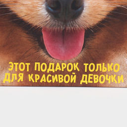 Цена за 2 шт. Пакет подарочный, упаковка, Подарочек, 22?22?11 см