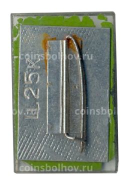 Значок Минск