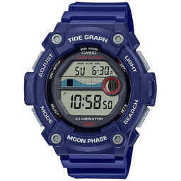 Наручные часы Casio мужские WS-1300H-2AVDF