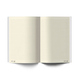 Светоч Бизнес-блокнот, мат. лам. + выбор. лак, тониров. блок 64ББТ_93_5_0 евроформат 64 л. 24 шт. французская клетка Нажми на плей 000909