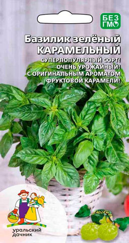 Базилик КАРАМЕЛЬНЫЙ  Самый ароматный из всех видов базилика! Оригинальный аромат фруктовой карамели!