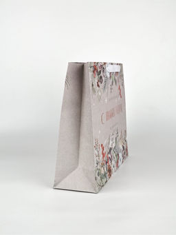 Набор новогодних пакетов «Спешу поздравить»