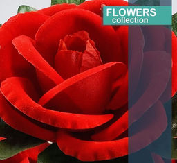 Букет Бархатных красных роз 55см - Kingston фото 2