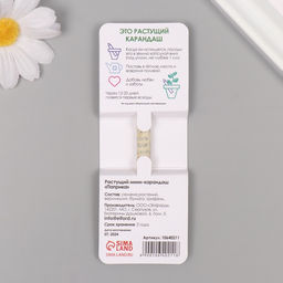 Цена за 2 шт. Растущий карандаш подарочный «Паприка», mini, простой чернографитный