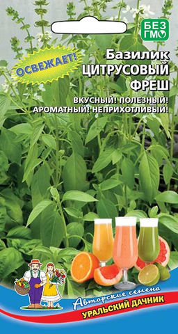 Базилик ЦИТРУСОВЫЙ ФРЕШ  С выраженным ароматом лимона, лайма и грейпфрута! Вкусный и полезный! Освежает!