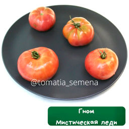 Гном Мистическая леди