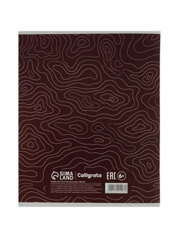 Комплект тетрадей 5 штук, 48 листов в клетку Calligrata «Линии», 5 видов