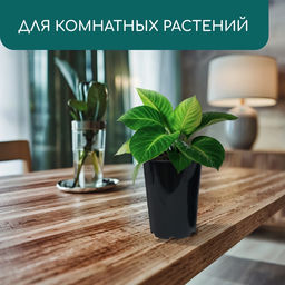 Цена за 2 шт. Горшок для рассады, для роз, 4 л, d=18 см, h=21.5 см, пластик, чёрный, Greengo