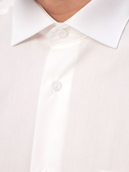 Сорочка мужская длинный рукав GREG 510/199/ALT