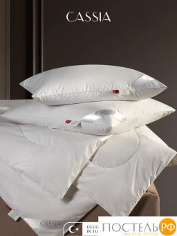 Одеяло CASSIA ШАЛЕ хл-тик/пух утиный, 700 г  фото 8