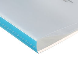 Папка формат А4, с 40 прозрачными файлами «Река», МИКС