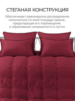 Одеяло Cloud Wine 175х200 теплое 300г/м2 ЕС-5827 - Espera фото 7