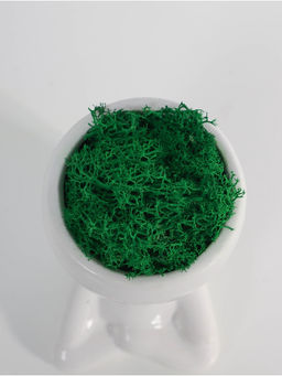 Стабилизированный мох в кашпо из керамики «Мистер Грин йог», 11.5×7×8 см, белый