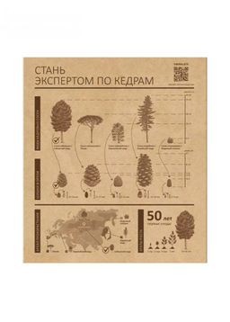 Кедровый грильяж ассорти, 120 г  черника, клюква, облепиха - Сибирский кедр фото 7