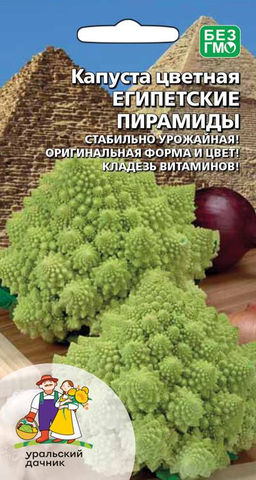 Капуста цветная ЕГИПЕТСКИЕ ПИРАМИДЫ  Гибрид цветной капусты и брокколи! Необычайно красива и интересна, формирует множество маленьких пирамидок которые в свою очередь увесистую пирамиду массой 1,2 кг!