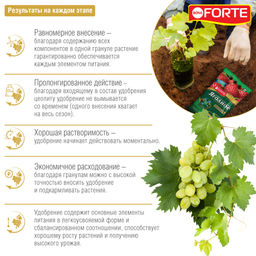 Компл. мин. удобр. "Bona Forte" Ягодное с биодоступ.кремнием гранул.пролонгир., пак.2,5кг