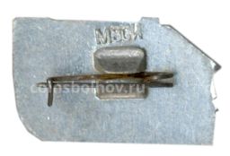 Значок Шушенское