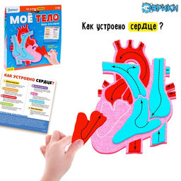 Набор для опытов Моё тело, сердце