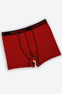 Мужские трусы-боксеры Kenn Paul  фото 2
